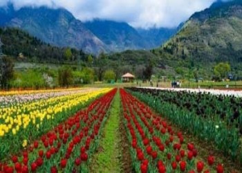 Kashmir Tour Packages